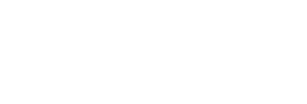 Paid4X Logo